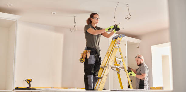 Best Electric Panel Repair  in Nisswa, MN