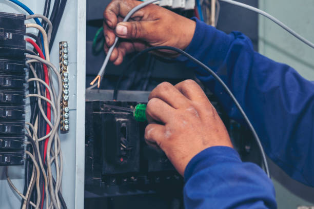 Best Licensed Electrician  in Nisswa, MN